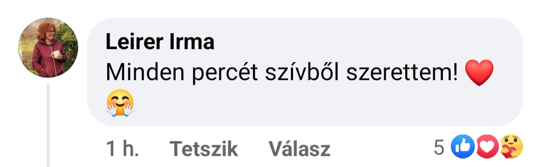 leirer_irma